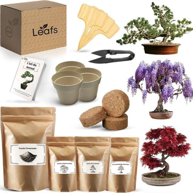Ensemble du kit Leafs