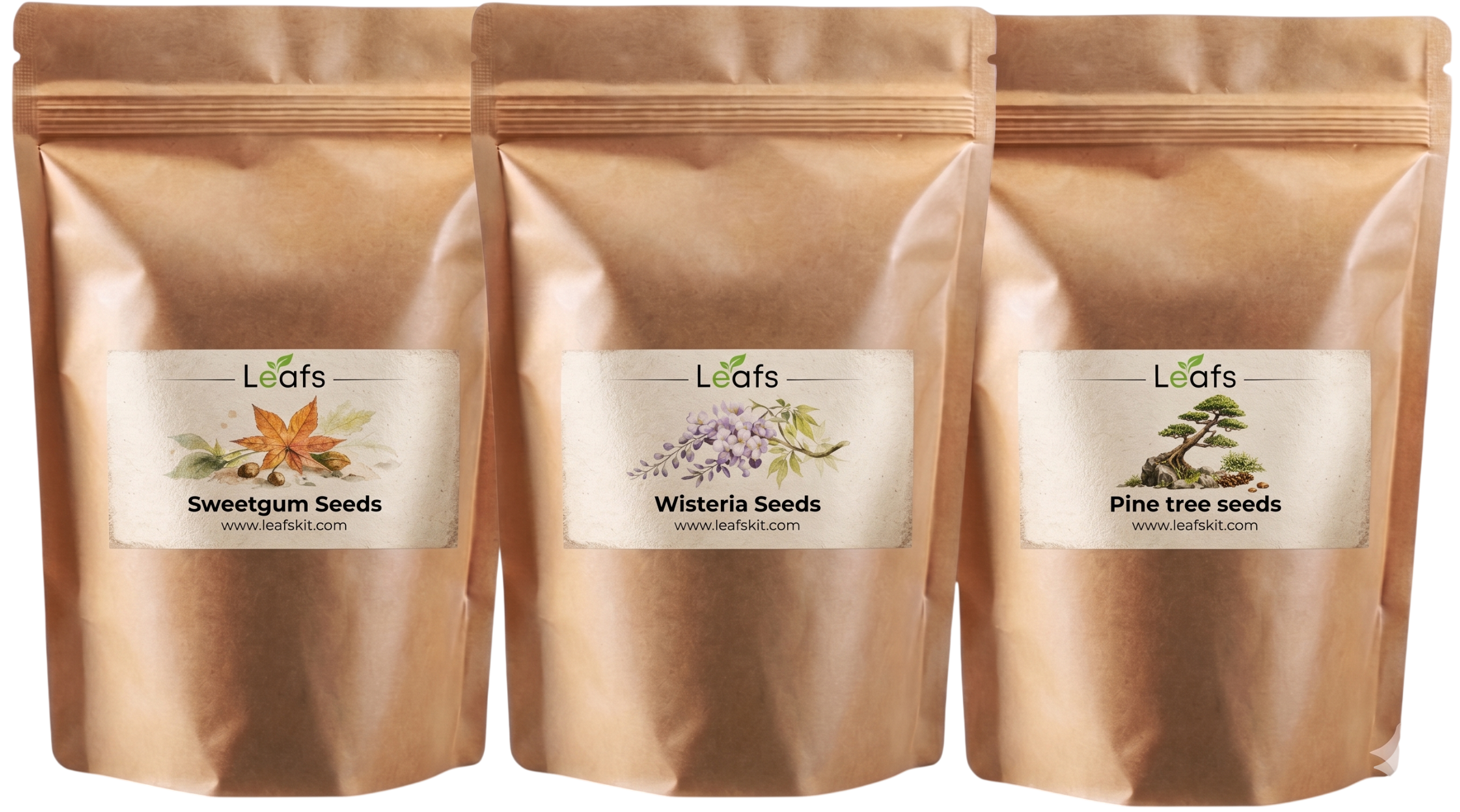 Sachets de graines du kit